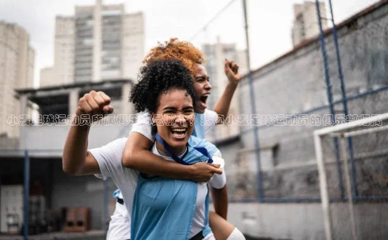 意昂2登录入口百度手机助手