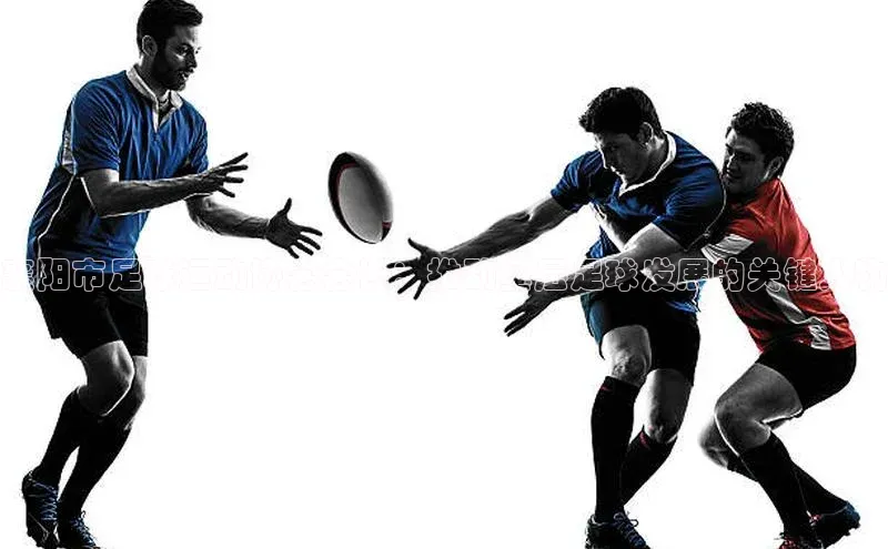 意昂2平台百家号