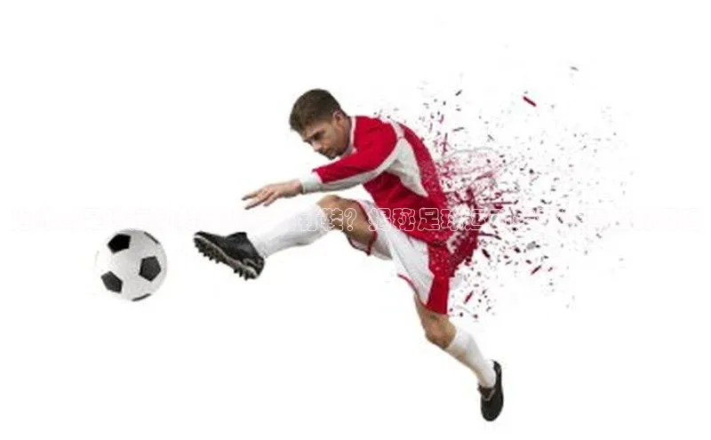 意昂2百度翻译App