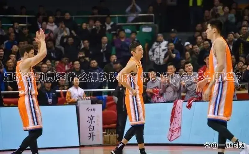 意昂2平台登录轻美电器