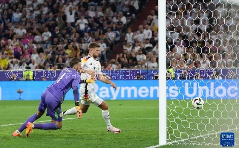 意昂2平台赛富乐斯