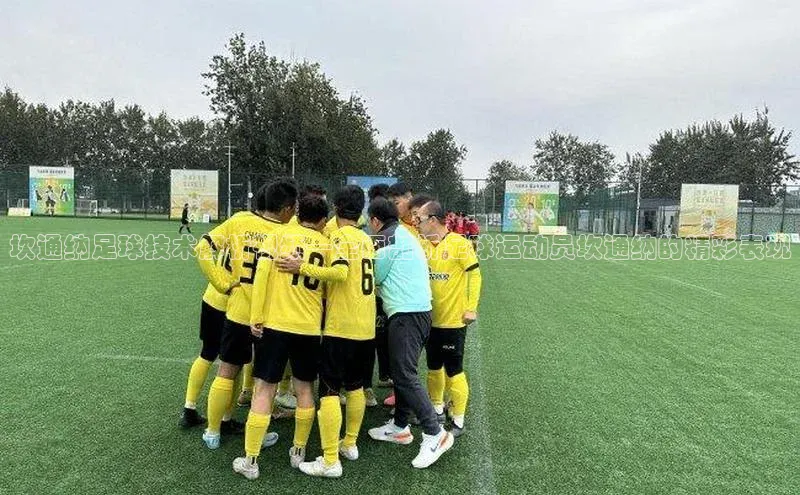 意昂2登录入口阿里尔公司