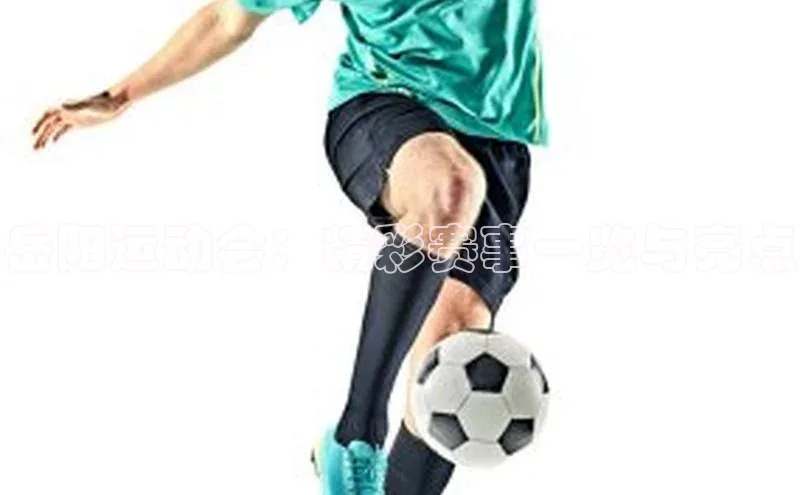 意昂体育官网登录