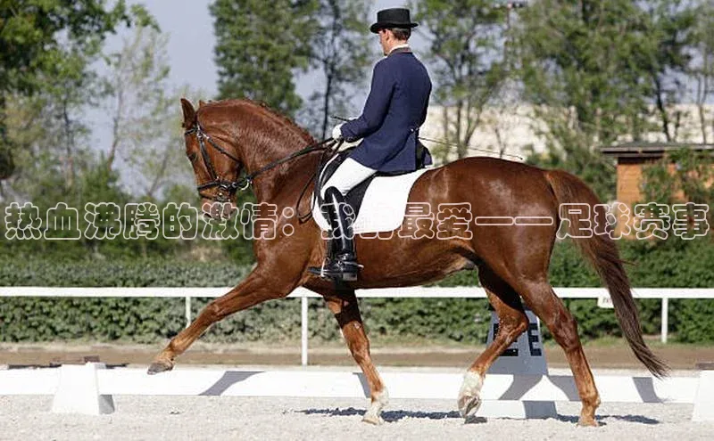 意昂官网入口登录